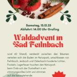 Waldadvent Bad Feilnach BILD